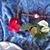 Annamarie Godbey's profile image