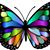 Doreen Lambert Spano's profile image