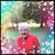 Carol L. Chisholm's profile image