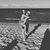 Stacey Leigh Fenster's profile image