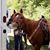 Katie Shipman's profile image