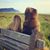 Christina Merten's profile image
