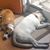 Amie Lee Faircloth's profile image