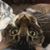 Kathleen Yoder's profile image