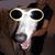 Emily Passarello Seaman's profile image