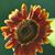 Richard N Tamee King-Linebarger's profile image