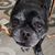 Niki Dunavant Riedell's profile image