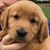 Mike Keiser's profile image