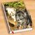 Vicky Hutton Gage's profile image