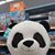Lanceachu Flux's profile image