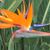 Teresa Marie Jacobsen's profile image