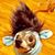 Jody Gross's profile image