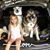 Sherry Chenault's profile image