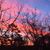 Brenda S Thompson's profile image