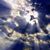 Lisa Sobiech's profile image