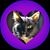 Eric Skodis's profile image