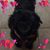 Lori Loane's profile image