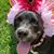Jennifer Girouard Chorn's profile image
