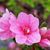 Carolyn Wooten Griffin's profile image