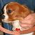 Ed Jefferis's profile image