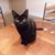 Tiffany Scribano's profile image