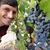 Kyle Goodfella-Stevens's profile image