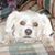 Lisa Carlson-Rode's profile image
