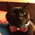 Leigh A. Perry's profile image
