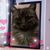 Kelly Adams's profile image