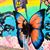 Jing Cui's profile image