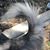 Wendy Lutz Bull's profile image