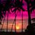 RoShunna Ball Richardson's profile image