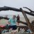 Sarah Jay Hoadley's profile image