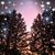 Linda M Princl's profile image