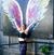Lauren Spavelko's profile image