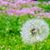 Jenny Cubbon's profile image