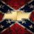 Dustin Haley's profile image