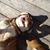 Andrew Knudson's profile image