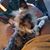 Tim Grecheski's profile image