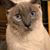 Patrick McCluskey's profile image