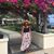 Amanda Snell's profile image