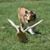 Nancy Heinrich's profile image