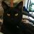 Julie Howard Rifai's profile image