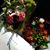 Fatimah Congreve's profile image