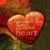 Stacie Bell's profile image