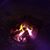Eric Johnson's profile image