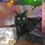 Jannette Whipple's profile image