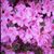 Debby Garrigus's profile image