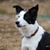 Kathy Marshall's profile image