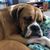 Calley Rockweiler's profile image
